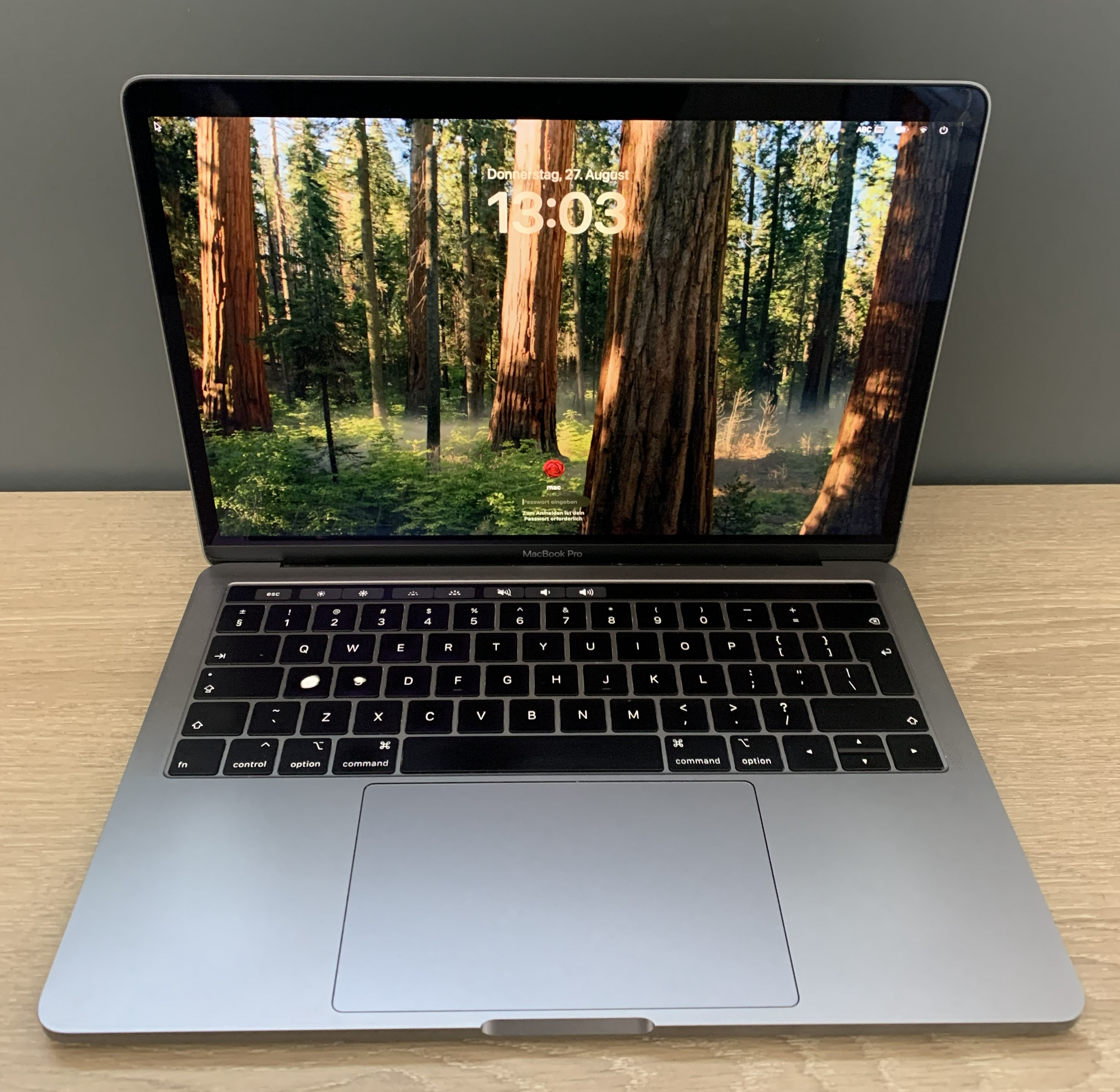 MacBook Pro  A1989 13.3" Touchbar i5-8279U 16GB 512GB NVMe Iris 655 OS B-Ware11