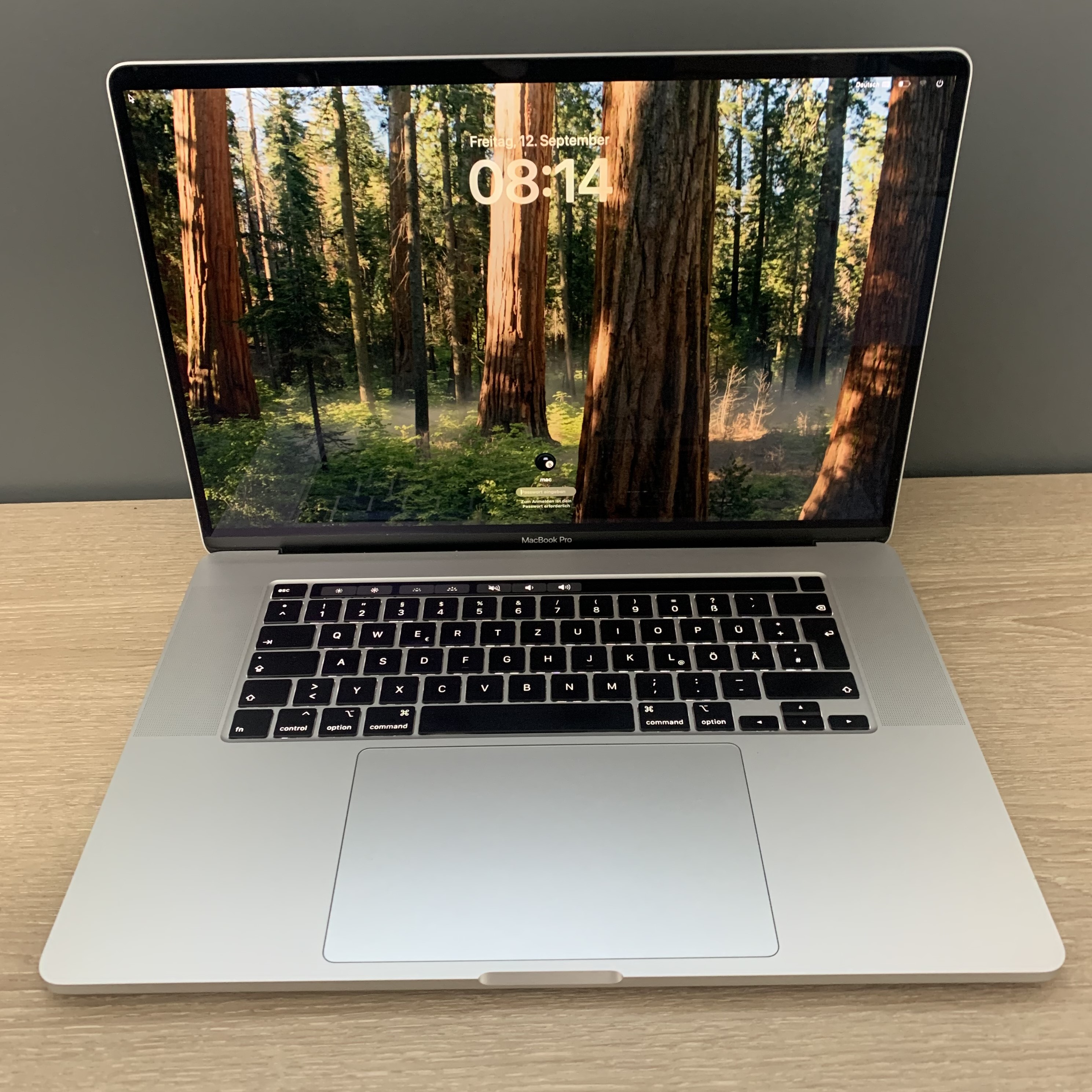 MacBook Pro 16" 2019 A2141 i9-9980HK 16GB 1TB NVMe Radeon 5500M macOS B-Ware19