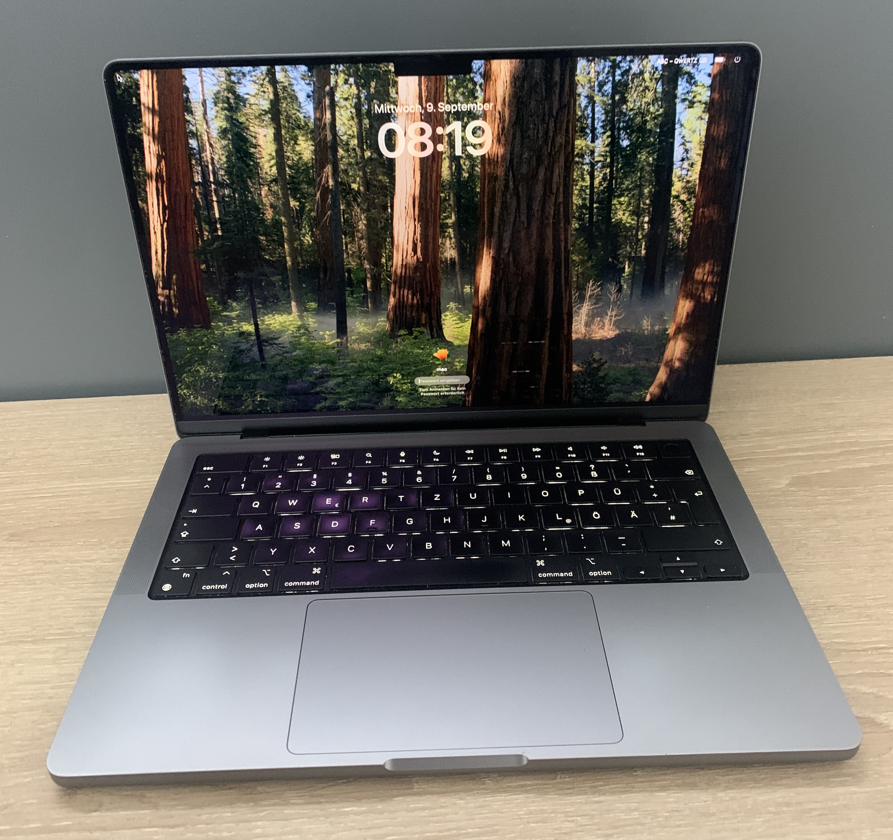 MacBook Pro A2442 14" M1 Pro 8 CPU/14 GPU 16GB DDR 512GB NVMe macOS B-Ware3