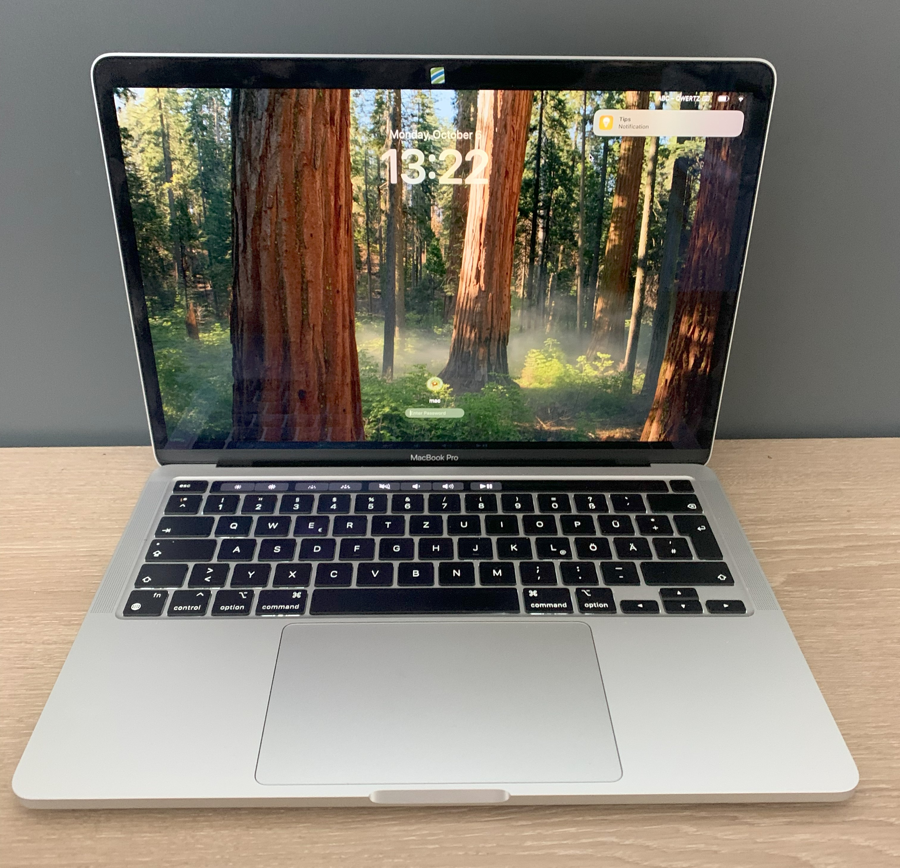 MacBook Pro A2338 13.3" M1 8 CPU/8 GPU 16GB DDR 256GB NVMe macOS B-Ware41